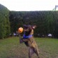 Atacando a la pelota